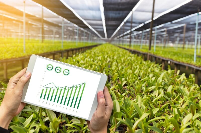 Revolutionizing-Agriculture-with-Technology-scaled-e1729082403806.jpg