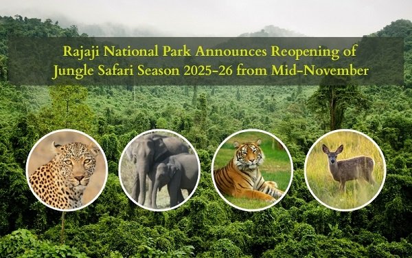 Rajaji-National-Park-Announces-Reopening-of-Jungle-Safari-Season-from-Mid-November.jpg